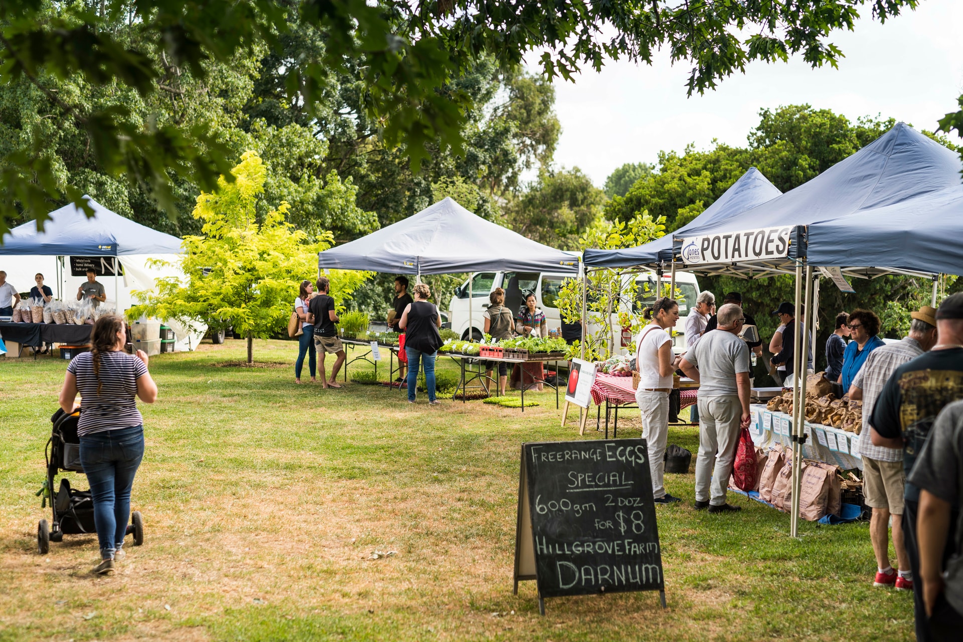 Regional town farmers market