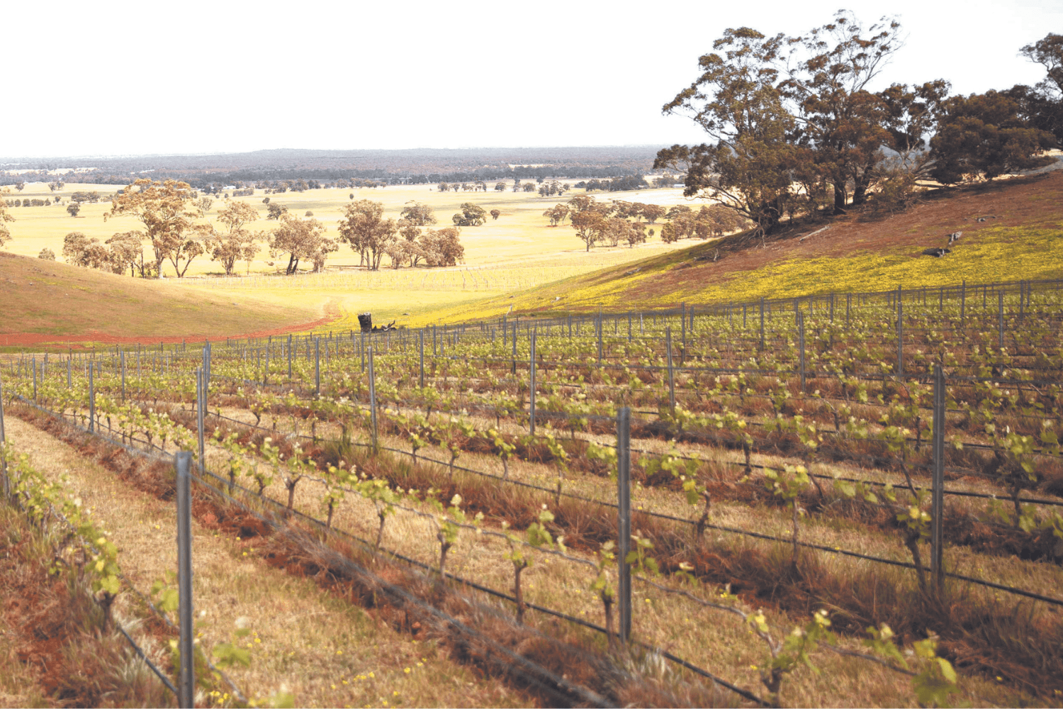 Projects Rural Victoria Infrastructure Victoria | Regional Victoria
